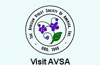 AVSA